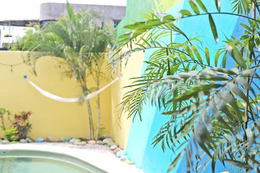 Studio -Sand At Mikasa- Fast Internet, King Bed, Pool, Near Beach, Ac Puerto Escondido  Eksteriør billede